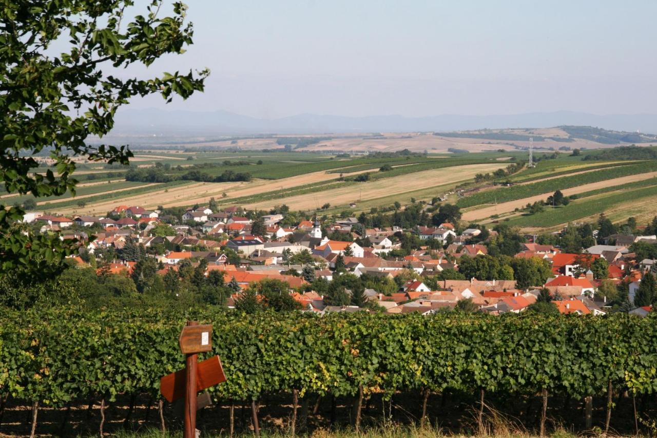 Weingut Zur Schlafmuetze Hotel Herrnbaumgarten Exterior foto